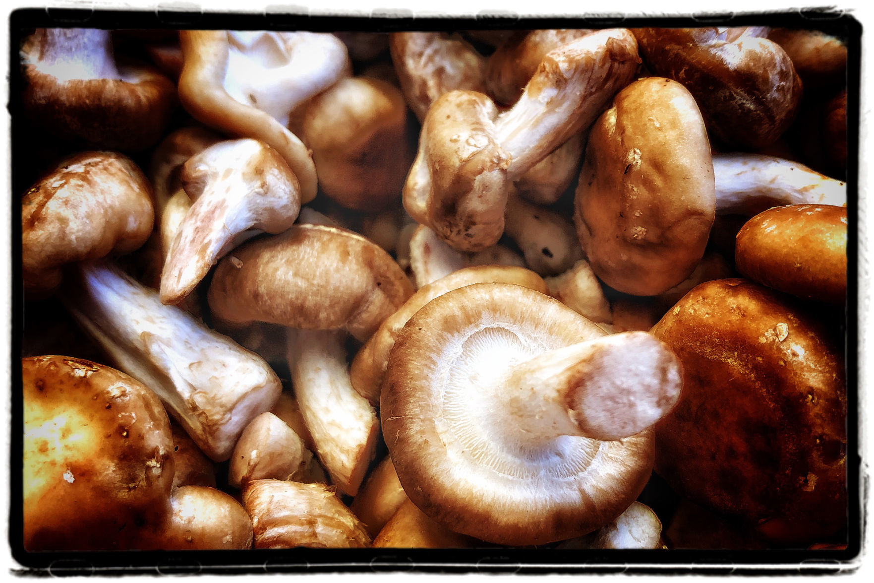 Farmers Market Produce
